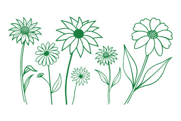 Vibrant Flower Line Art Collection.