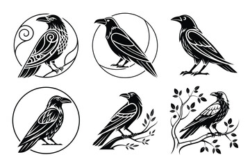 Fototapeta premium Discover striking raven designs featuring intricate patterns and naturalistic poses, perfect for adding a touch of mystery and elegance to your projects.