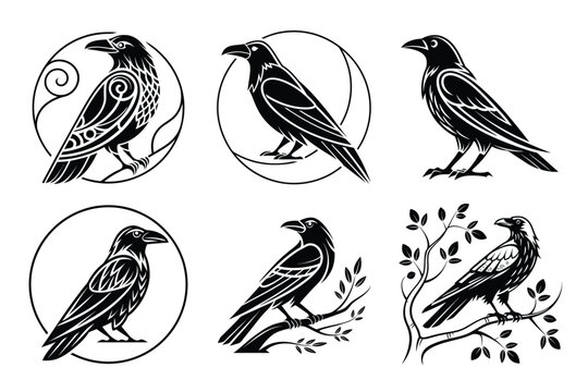 Discover striking raven designs featuring intricate patterns and naturalistic poses, perfect for adding a touch of mystery and elegance to your projects.