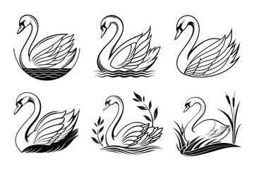 Elegant swans grace water scenes showcasing serene beauty and natural grace for sophisticated branding and elegant designs seeking timeless allure and peaceful imagery