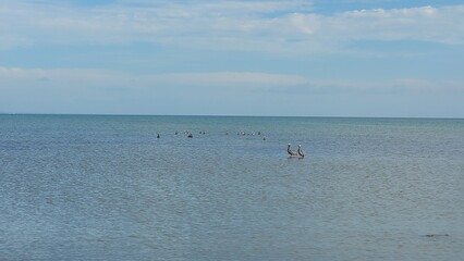 La exuberancia de El Caribe 