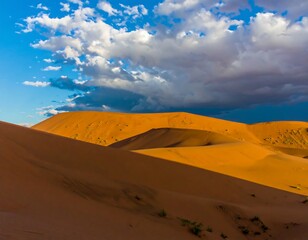 Desert dunes bathed in golden light