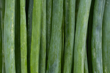 Green onion background. Close up bunch green onions.