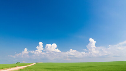 Fototapeta premium 夏の入道雲と土の道