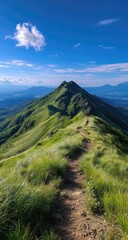 Fototapeta premium A sun-drenched mountain ridge trail winds upwards, flanked by vibrant green grass, towards a peaked summit under a clear blue sky with a single fluffy cloud