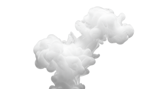 transparent smoke meticulously sculpted into a controlled, graceful swirl, ephemeral cloud-like abstract formation on an immaculate stark white seamless studio background, concept of abstract ideation