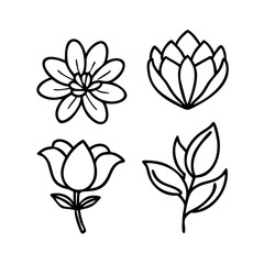 flowers line icon set vector pictograms of magnol.eps