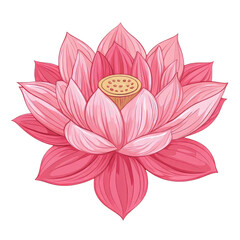 pink lotus flower vector traditional art