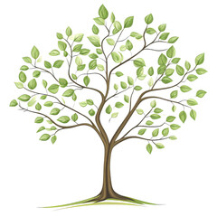 vector tree with green leaves traditional art