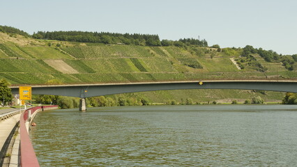 Entlang der Mosel bei Mehring