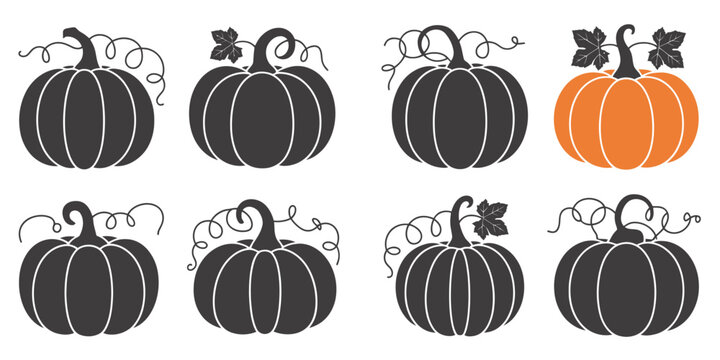 UntitledVector art of collection of pumpkins isolated on white background, representing autumn harvest, halloween, and thanksgiving, with decorative gourds and seasonal festive motifs