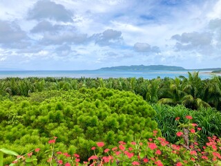 Naklejka premium 石垣島 やいま村のアンパル塔から眺める景色