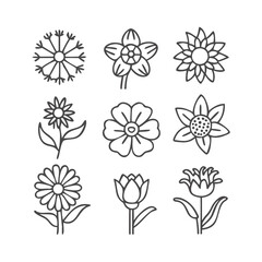Flowers line icon set. Vector pictograms of rose, daisy, tulip, sunflower, various flower species - lily, orchid, hydrangea, lavender, thin linear ... See More