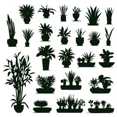 Fototapeta premium Silhouettes of various houseplants in pots. 