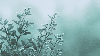 Delicate green branches adorned with small white flowers against a soft, dreamy background.