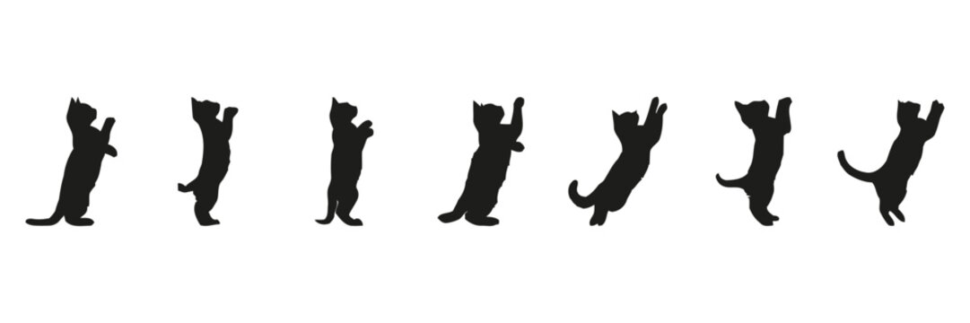Silhouettes of cats jumping.
