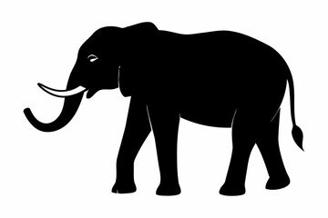 Fototapeta premium Silhouette of an elephant walking. 