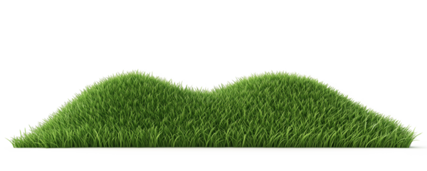 3D illustration of green grass isolated on transparent background,green grassy hills for poster banner cover design
