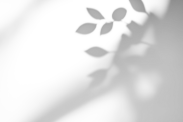 shadow overlay effects of realistic abstract natural tree leaves shadow on wall background,Summer sunlight and shadow overlay effect,dappled foliage shadow for photo interior backdrop studio mockup