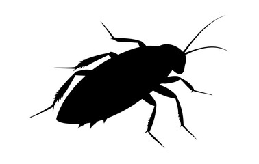 Silhouette of a cockroach.
