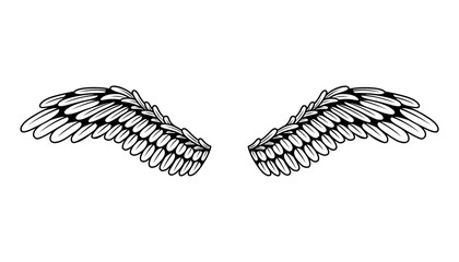 Wings sketch. Stylized birds wings. Hand drawn contoured stiker wing in open position. Vector design elements in coloring style
