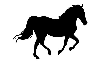 Obraz premium Silhouette of a running horse. 