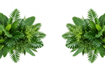 Tropical green foliage border isolated on transparent background