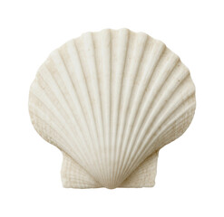 Collecting seashells on the beach coastal nature serenity, isolated on transparent background, png