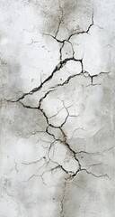 Obraz premium Cracked, off-white textured surface with a network of dark, thin fissures resembling a dried riverbed or parched earth