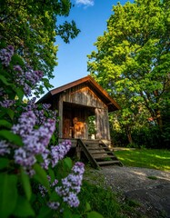 Rustic wooden shed nestled amongst lush greenery, bathed in sunlight