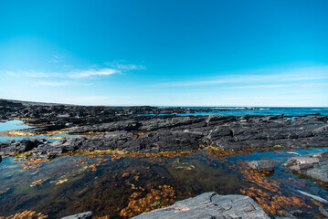 rocky shore of the Arctic Ocean without people