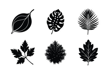 bundle of autumn leafs