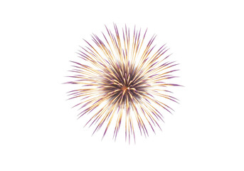 Colorful firework burst isolated on transparent background