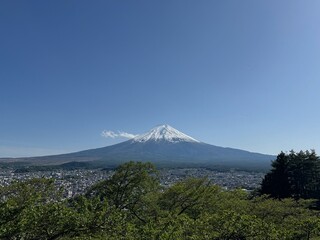 mt fuji
