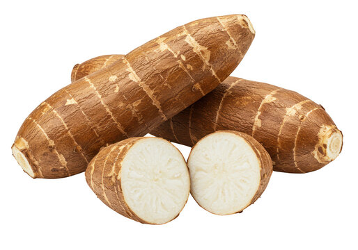 Cassava roots isolated on transparent background