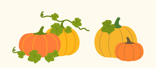 Set of autumn season pumpkins vegetable with leaves.
Farm fresh pumpkin.
Fall pumpkin flat stock vector illustration.
Design for harvest festival, Thanksgiving. 