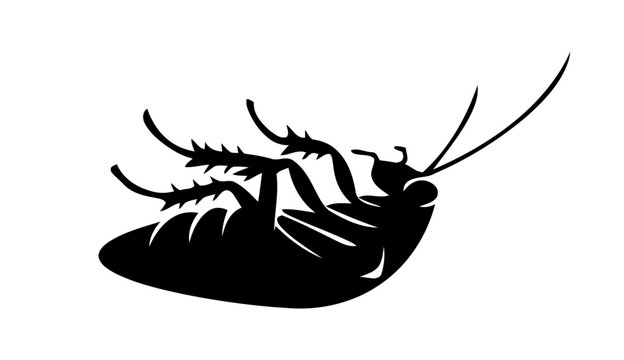 black cockroach silhouette, upside down clip art preview