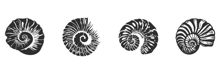 Spiral shells, black and white, detailed design.