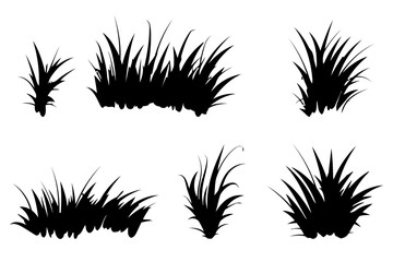 Silhouette of various grass tufts.
