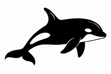 Fototapeta premium Black and white orca silhouette, powerful marine mammal. 