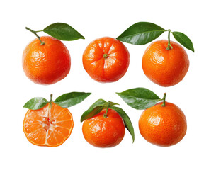 Tangerine fruit showcase kitchen series bright lighting