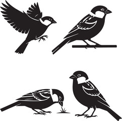 Sparrow Silhouette Set – Small Songbird Outline Vector Collection