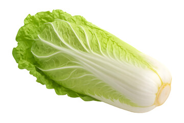Chinese cabbage PNG