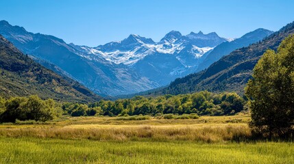 Snowy mountain range with lush meadow for nature and travel advertising