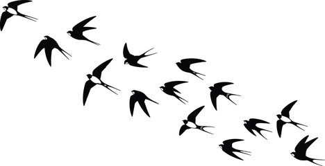 Swallow silhouette collection, flying bird poses, forked tail shapes, graceful motion, nature icons, vector graphics, migration flight, wildlife design