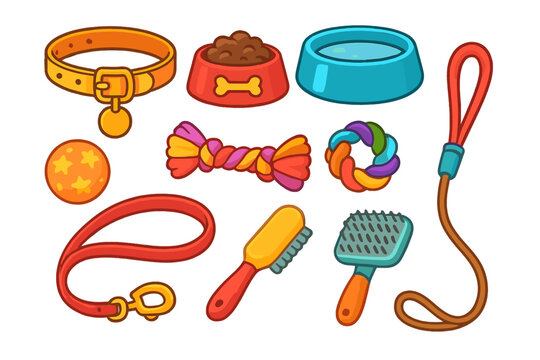 Pet accessory collection with collar, leash, bowl for food and water, toys and grooming tools. Vector cartoon illustration set for pet shop, veterinary clinic or dog care.