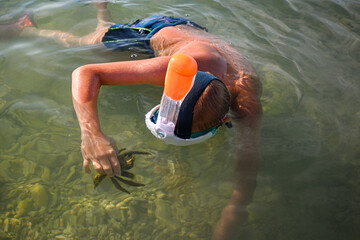 Boy wearing snorkel mask observing marine life and catching crab while snorkeling in shallow ocean water © juraj