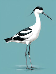 Obraz premium An avocet bird with long legs and beak, illustrated graphically