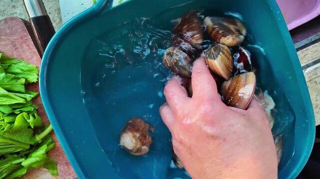Selecting and cleaning seafood snails at a vegetable market in Guangxi, China