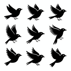 Obraz premium Collection of nine black bird silhouettes in flight isolated on white background silhouette